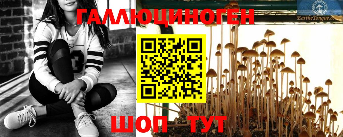 Галлюциногенные грибы Magic Shrooms Санкт-Петербург