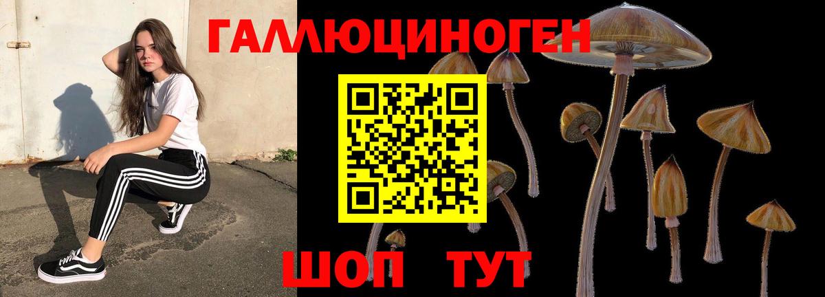 Псилоцибиновые грибы ЛСД  Вход с VPN  Псилоцибиновые грибы Psilocybine cubensis  Санкт-Петербург 
