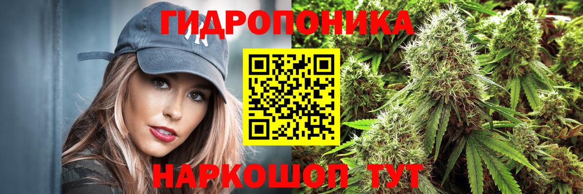 Санкт-Петербург  Бошки Шишки ГИДРОПОН  Шишки марихуана семена  Вход с VPN  Конопля семена 
